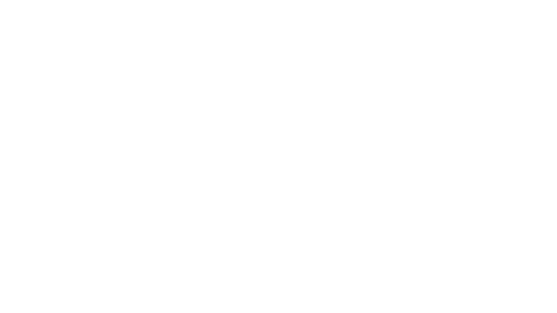 IDV-Renascimento-Feminino.png